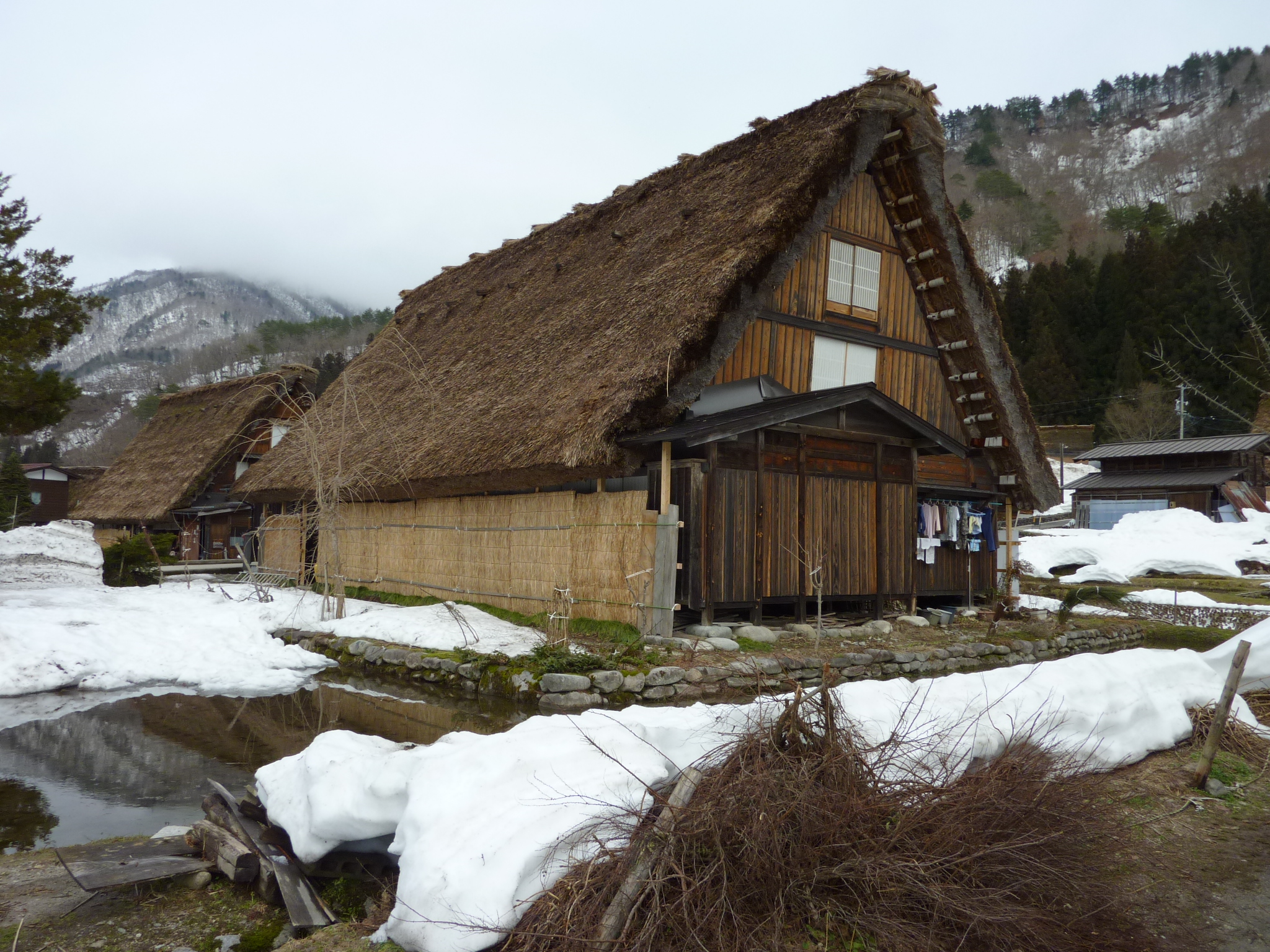 P1010884.JPG