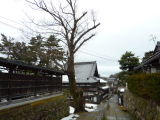 img0108.jpg