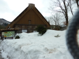 img0130.jpg