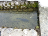 img0166.jpg