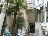 img0011.jpg