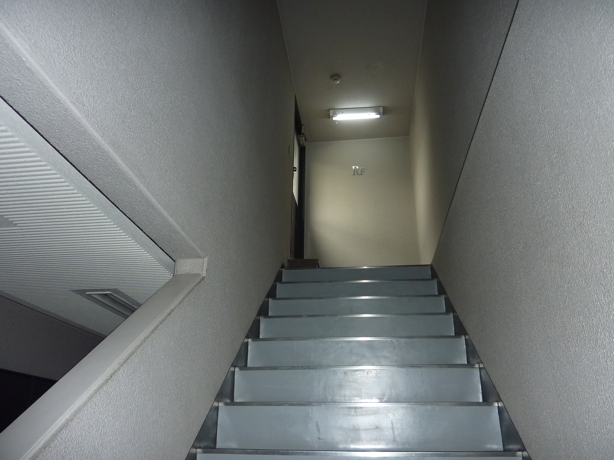 P1010968.JPG