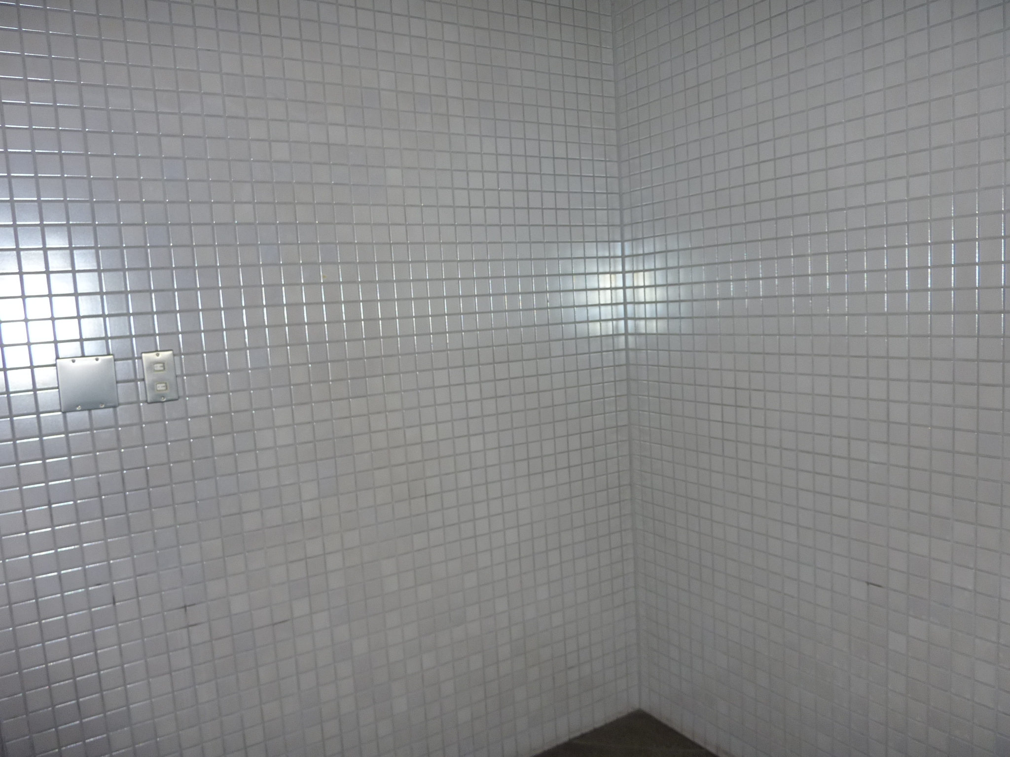 P1010971.JPG