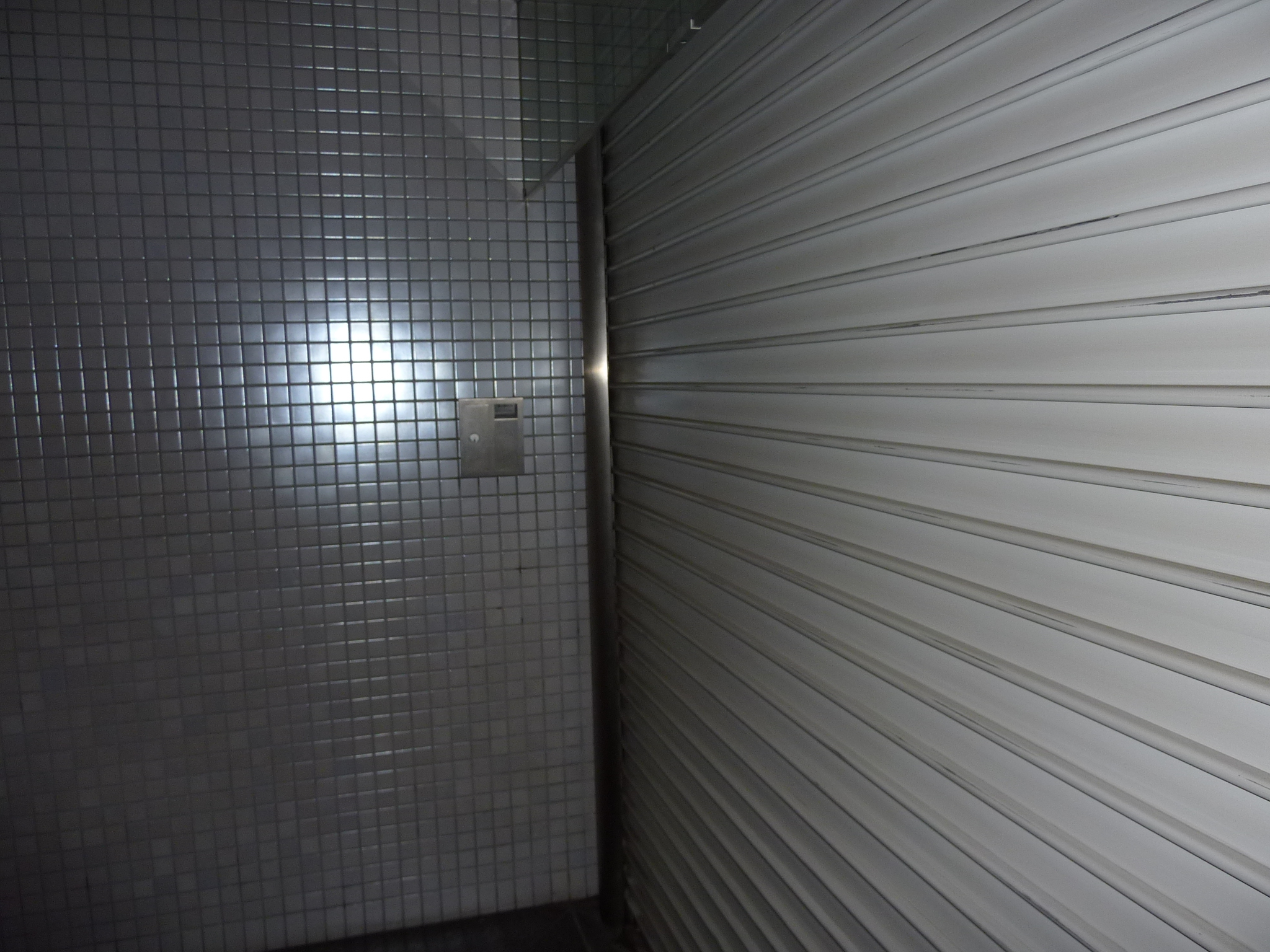 P1010973.JPG