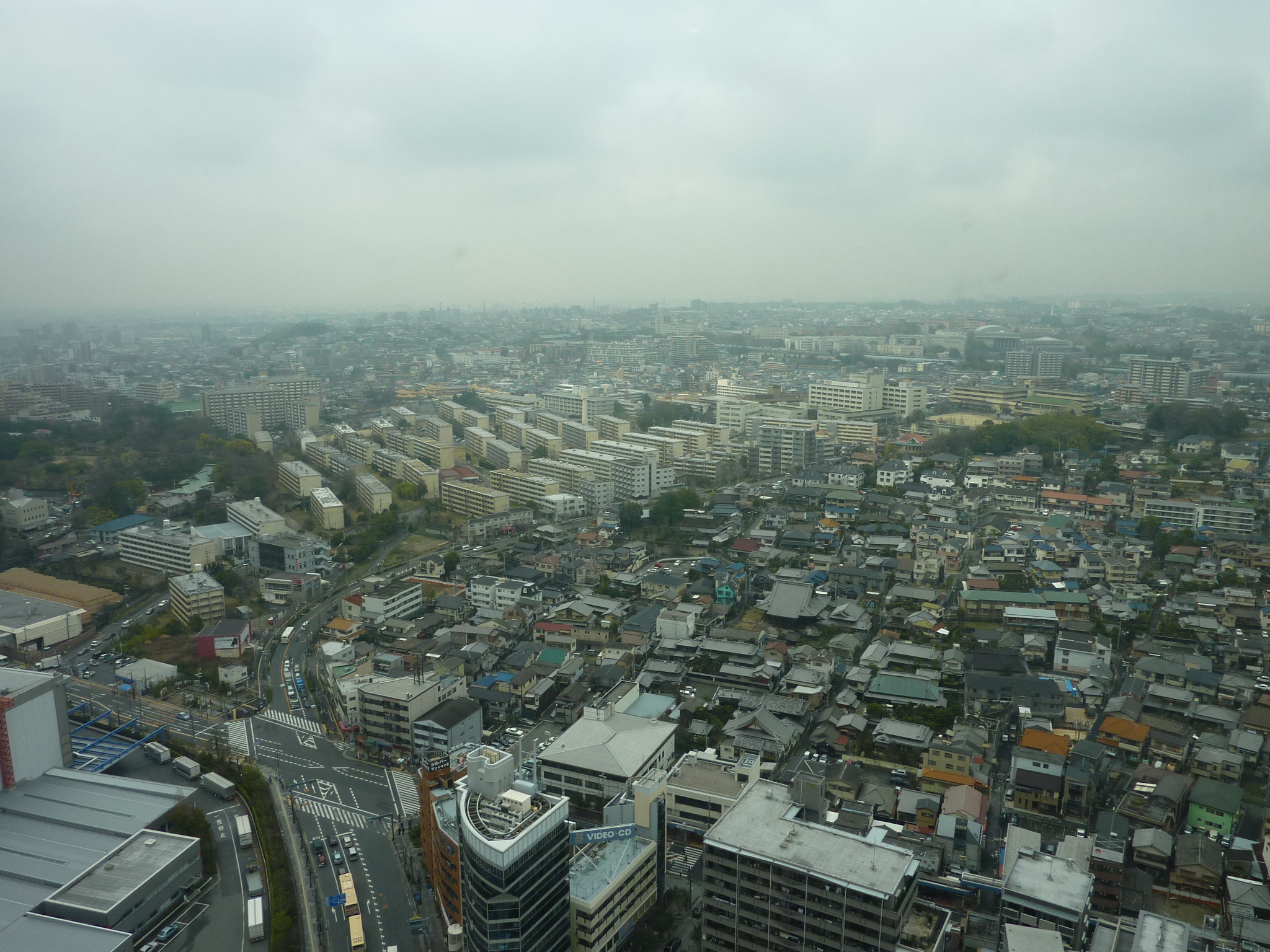 P1010993.JPG