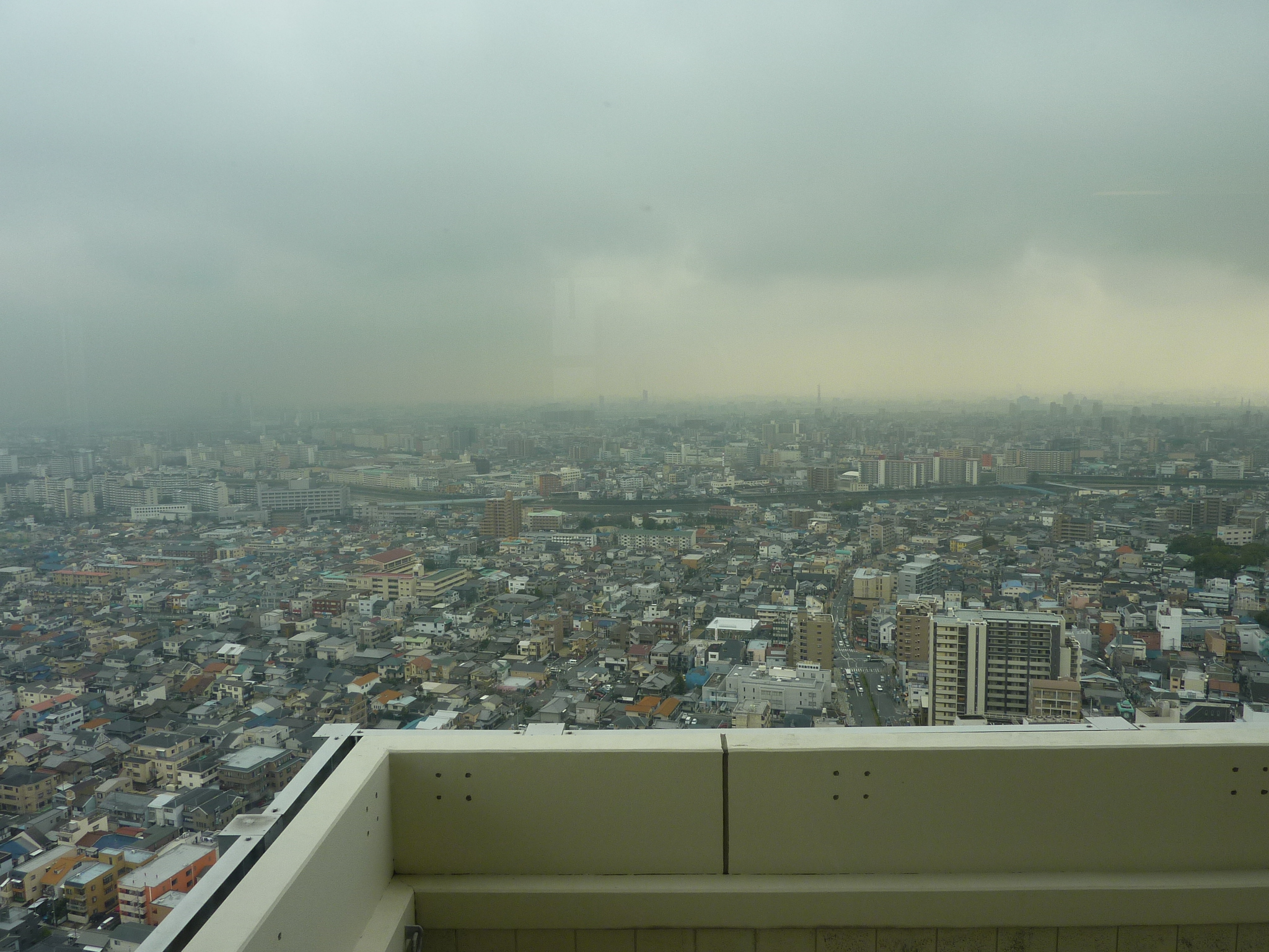 P1010994.JPG
