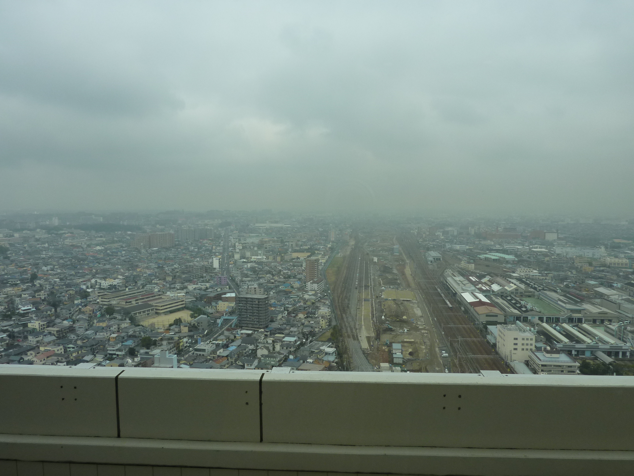 P1010995.JPG