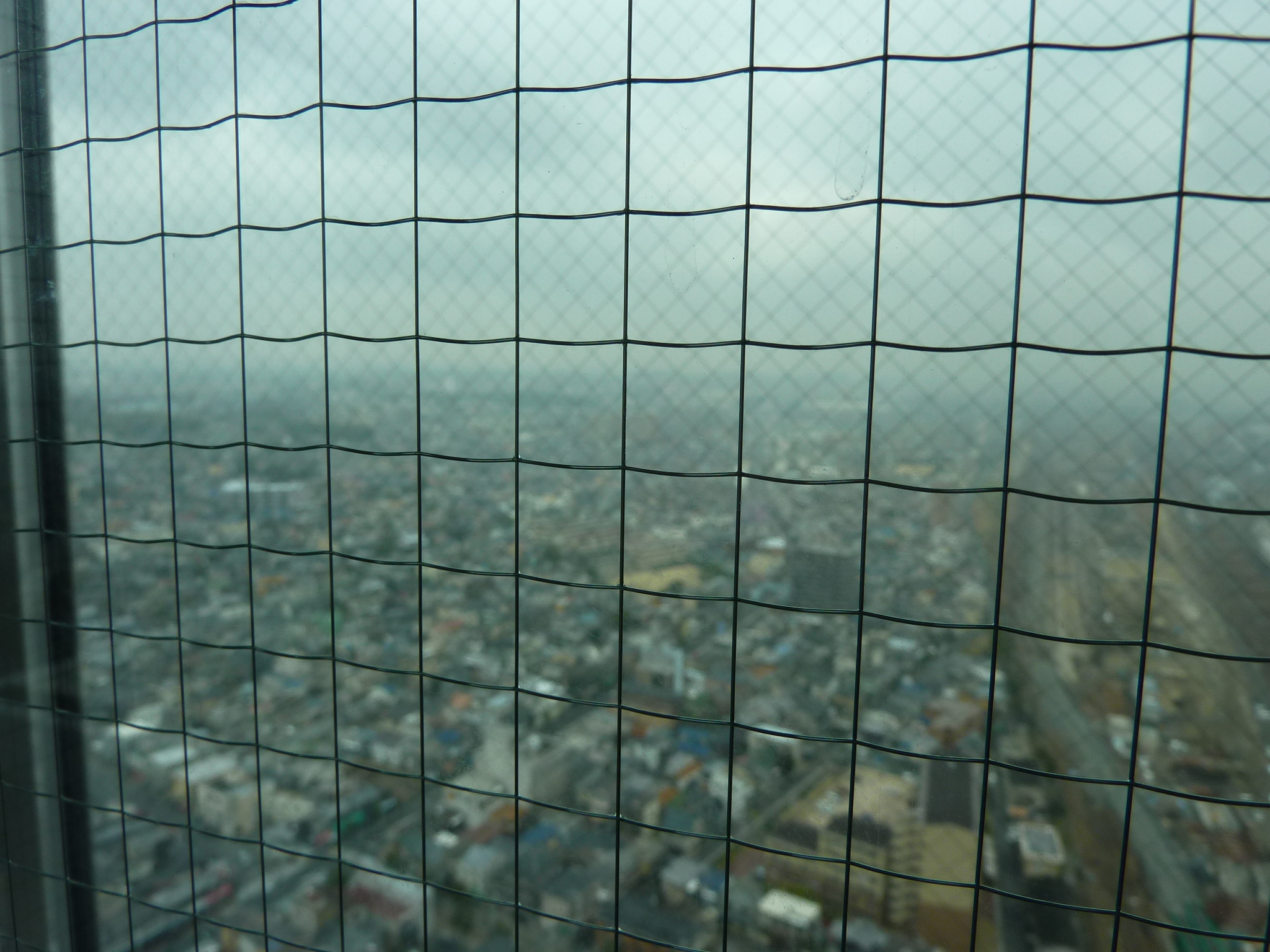 P1010998.JPG