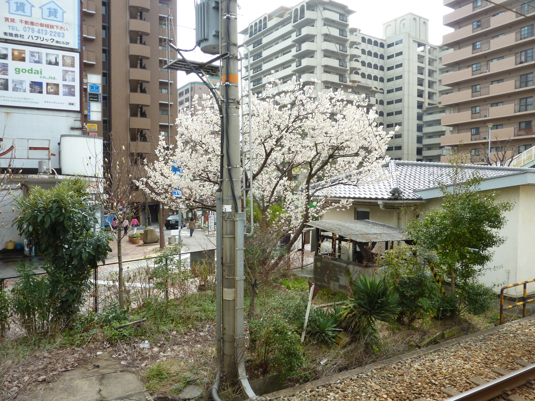 P1020001.JPG