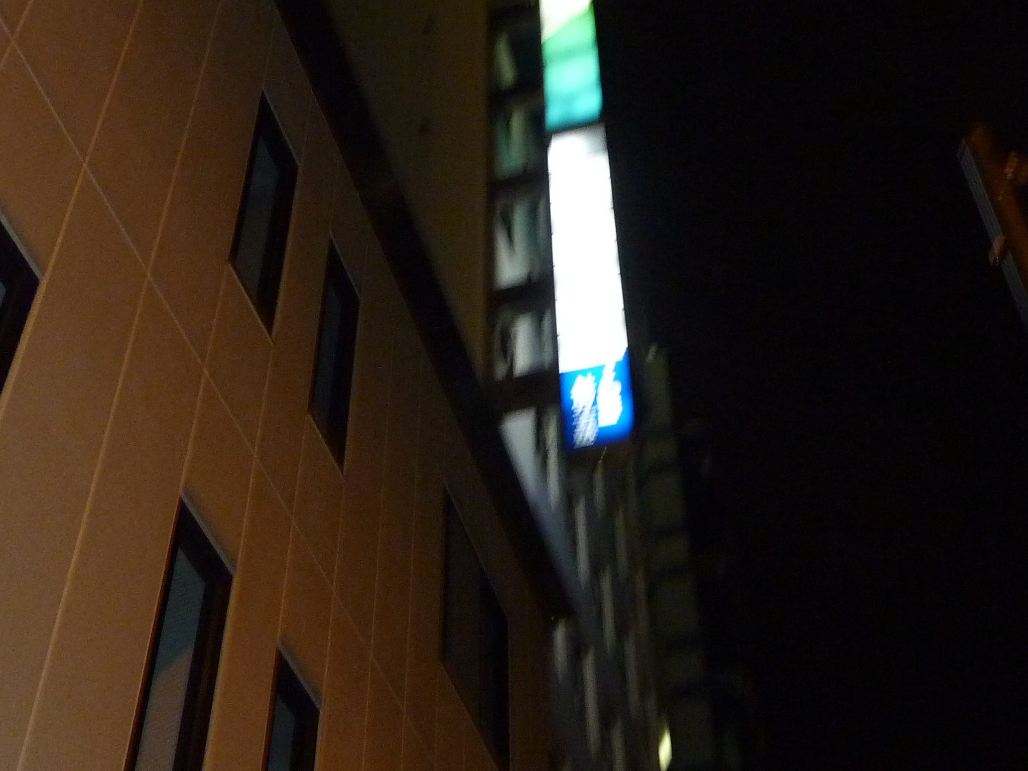 P1020005.JPG