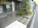 img0003.jpg