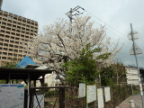 img0043.jpg
