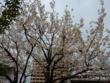 img0044.jpg