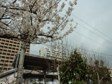 img0045.jpg