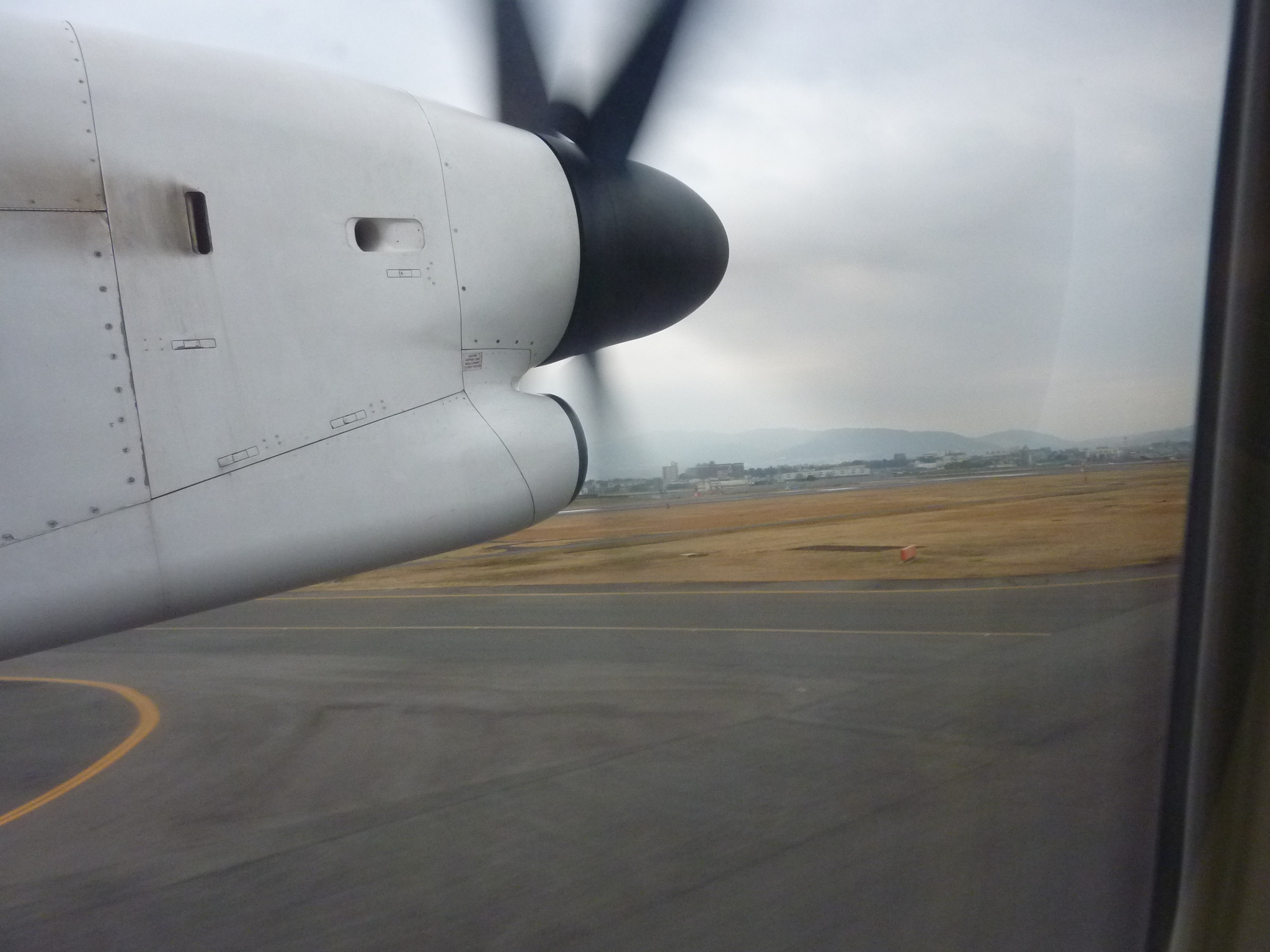 P1020102.JPG