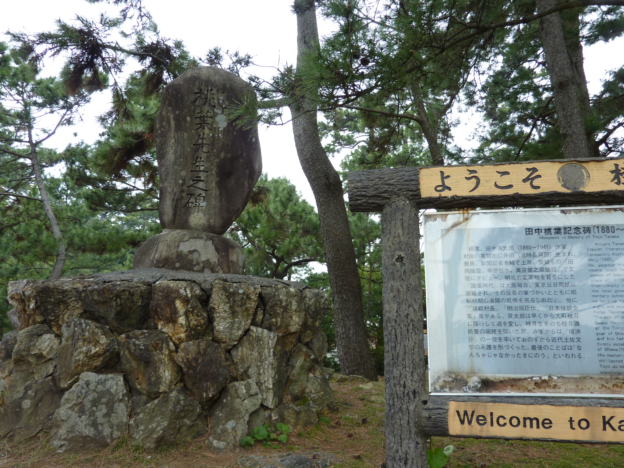 P1020131.JPG
