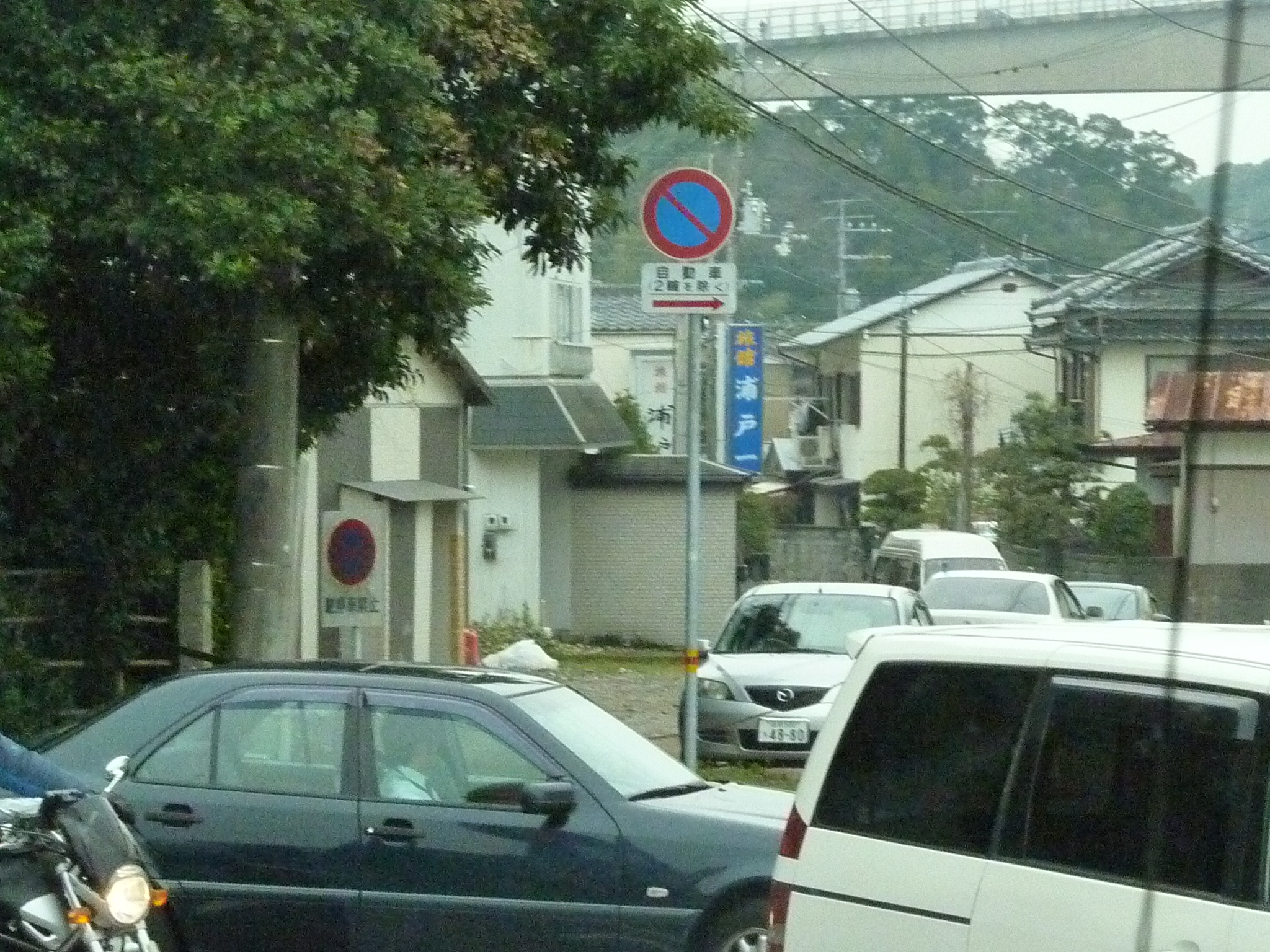 P1020132.JPG