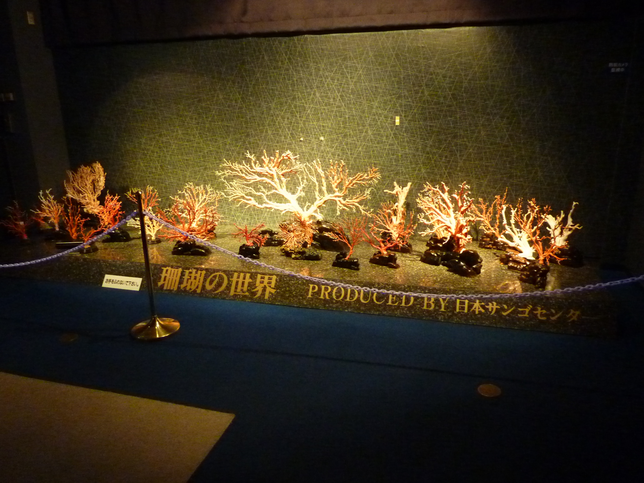 P1020134.JPG