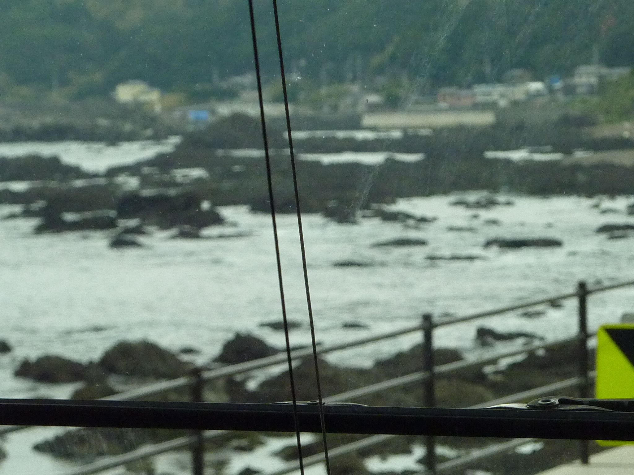 P1020149.JPG