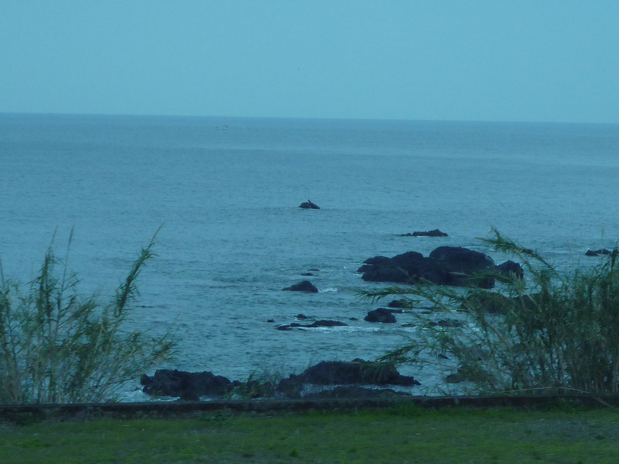 P1020150.JPG