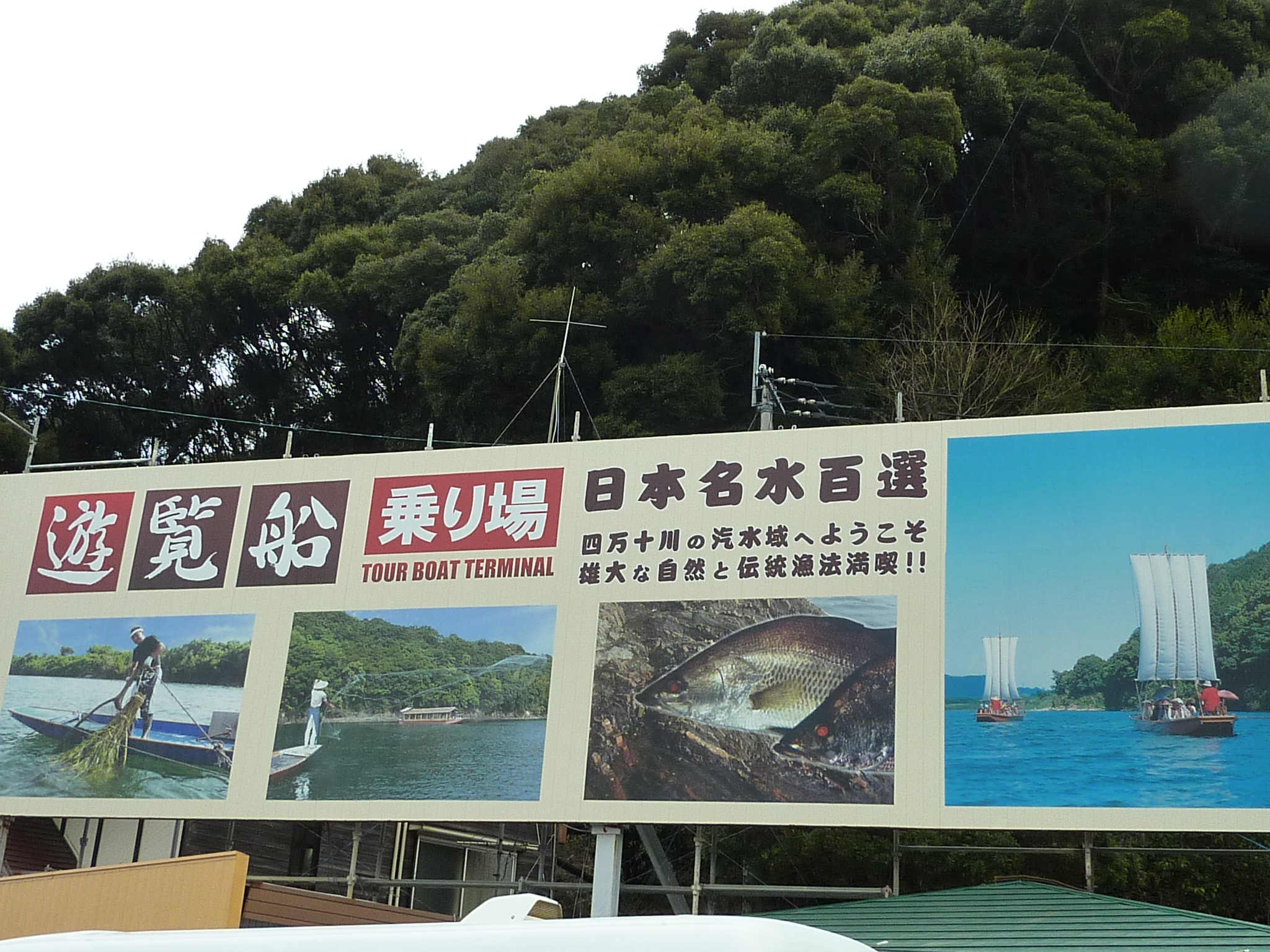 P1020151.JPG