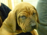 img0026.jpg