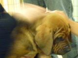 img0027.jpg