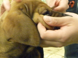 img0028.jpg