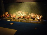 img0039.jpg