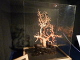 img0040.jpg