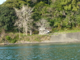 img0083.jpg