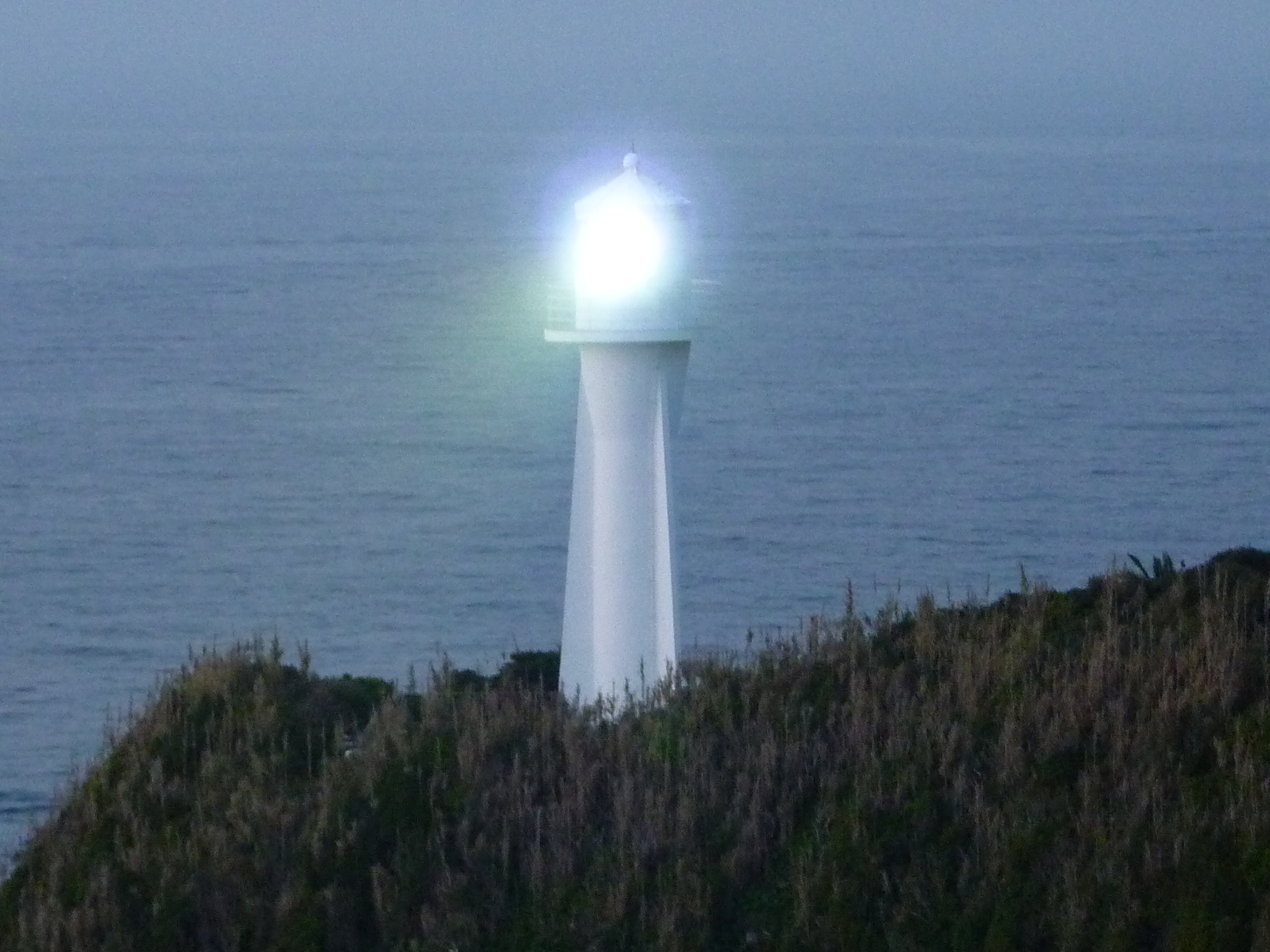 P1020195.JPG