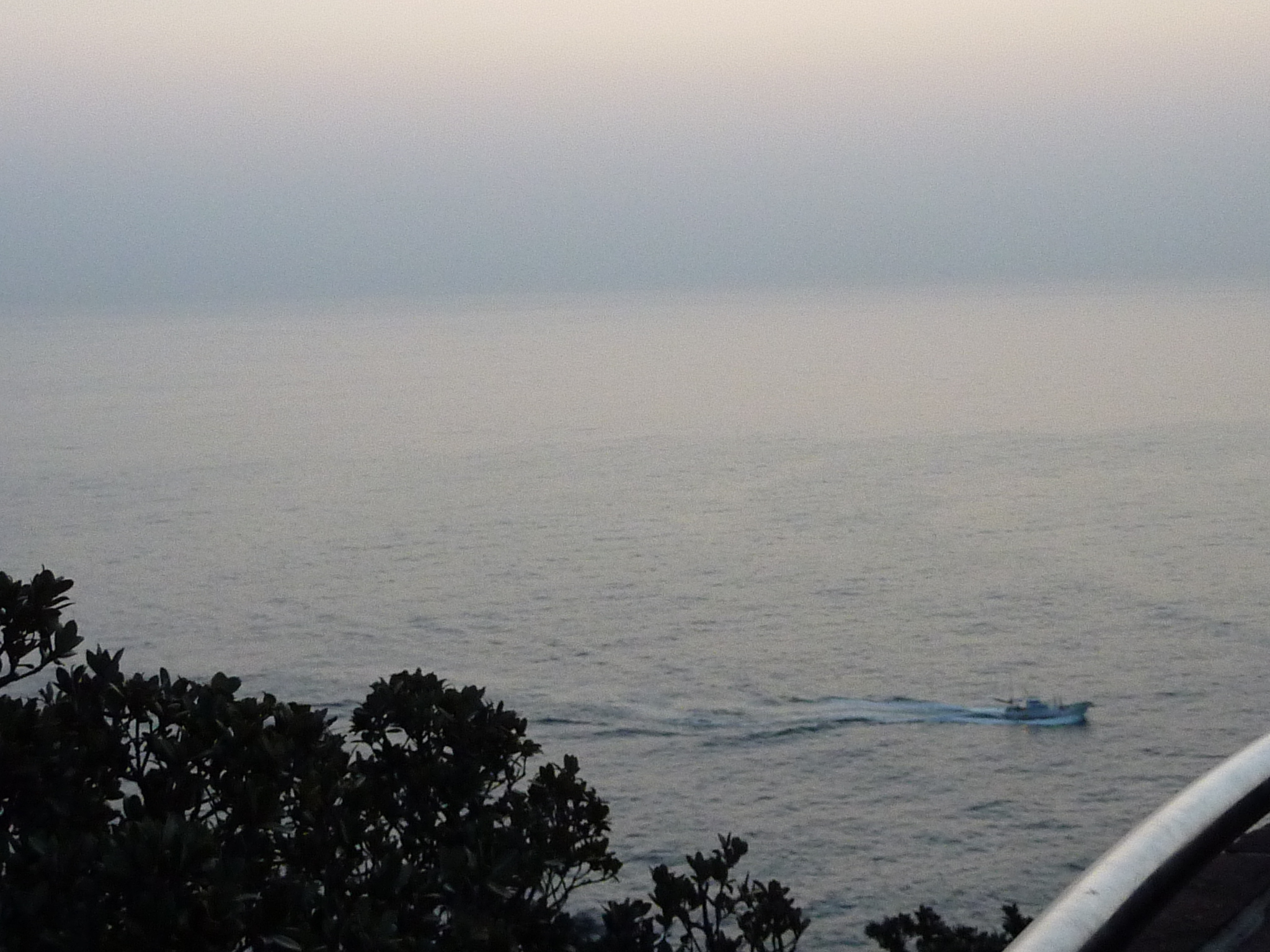P1020200.JPG