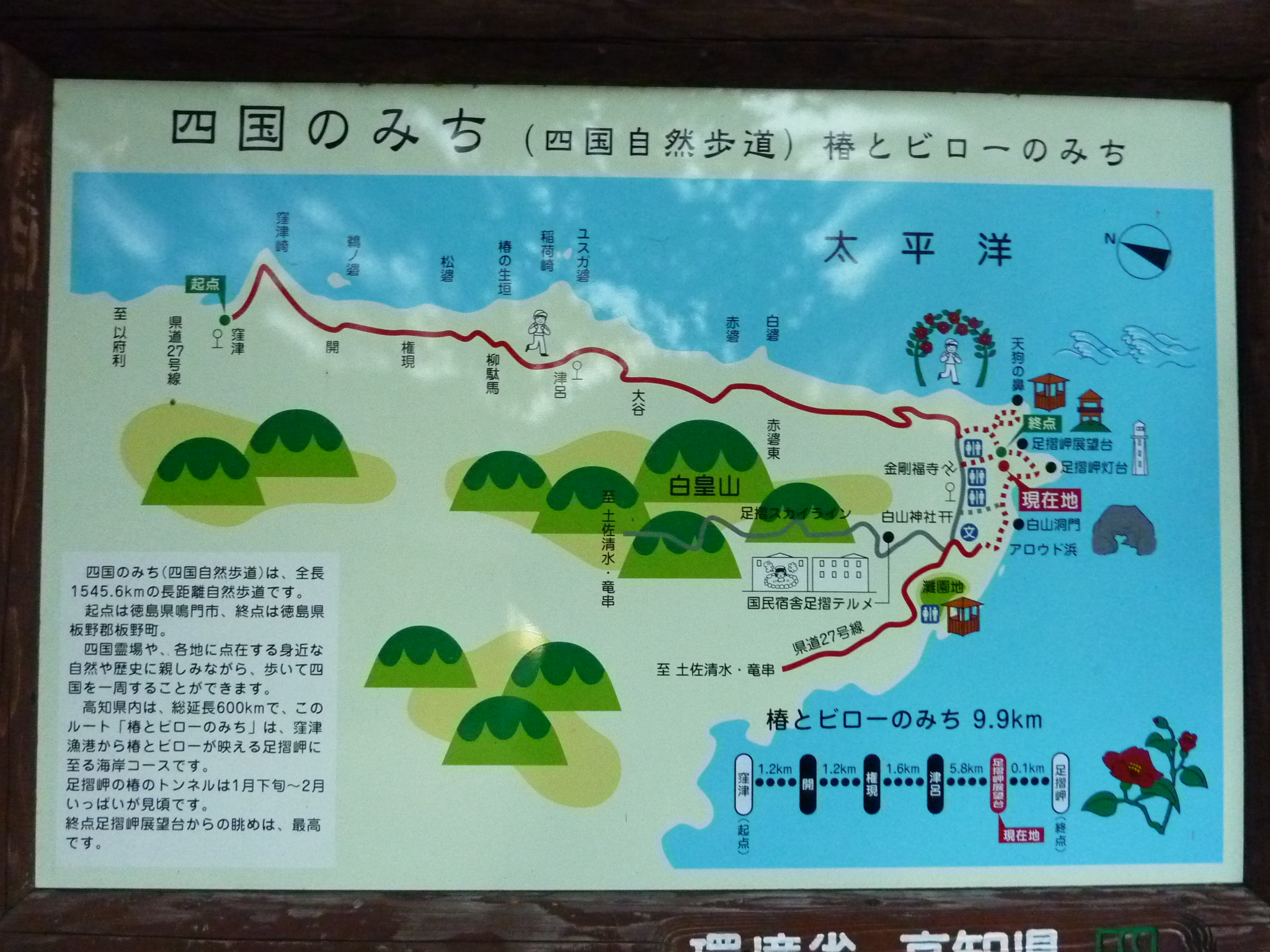 P1020207.JPG