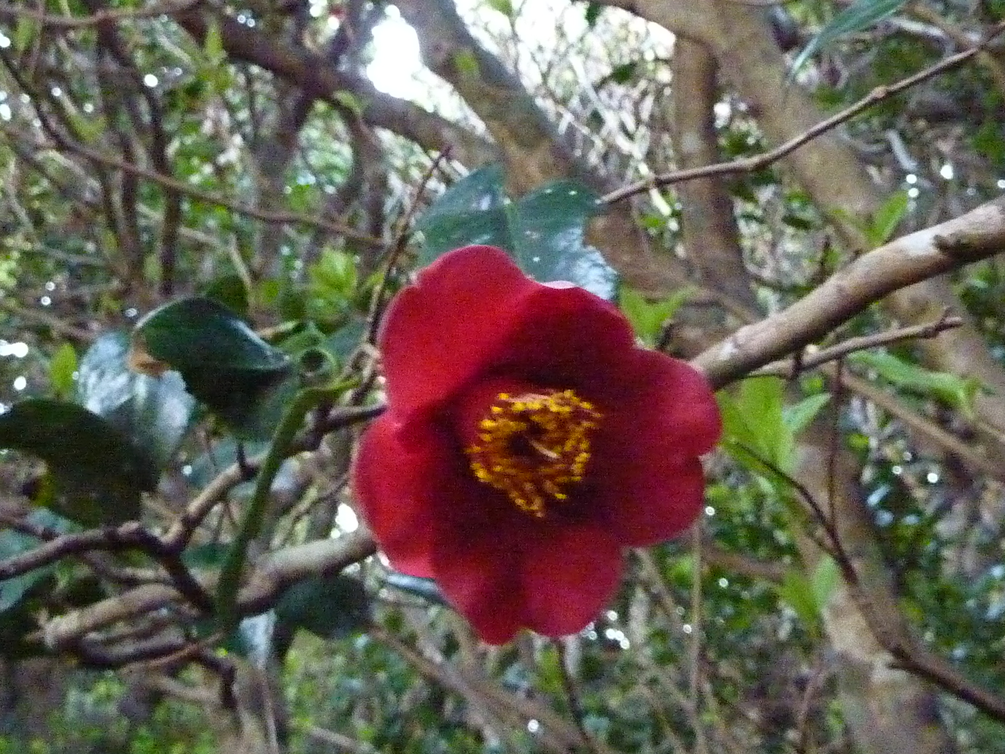 P1020208.JPG