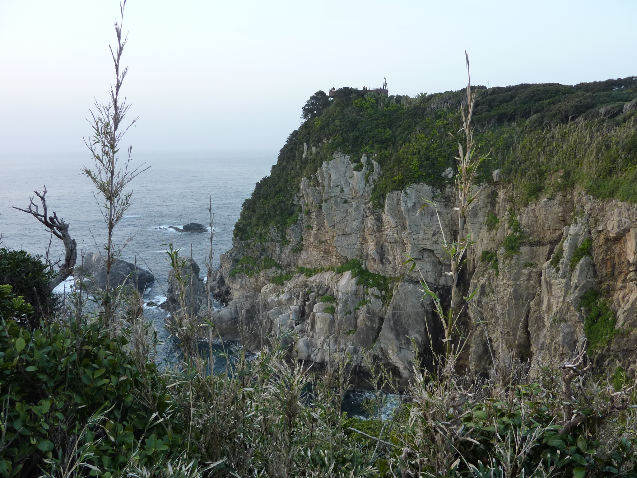 P1020209.JPG