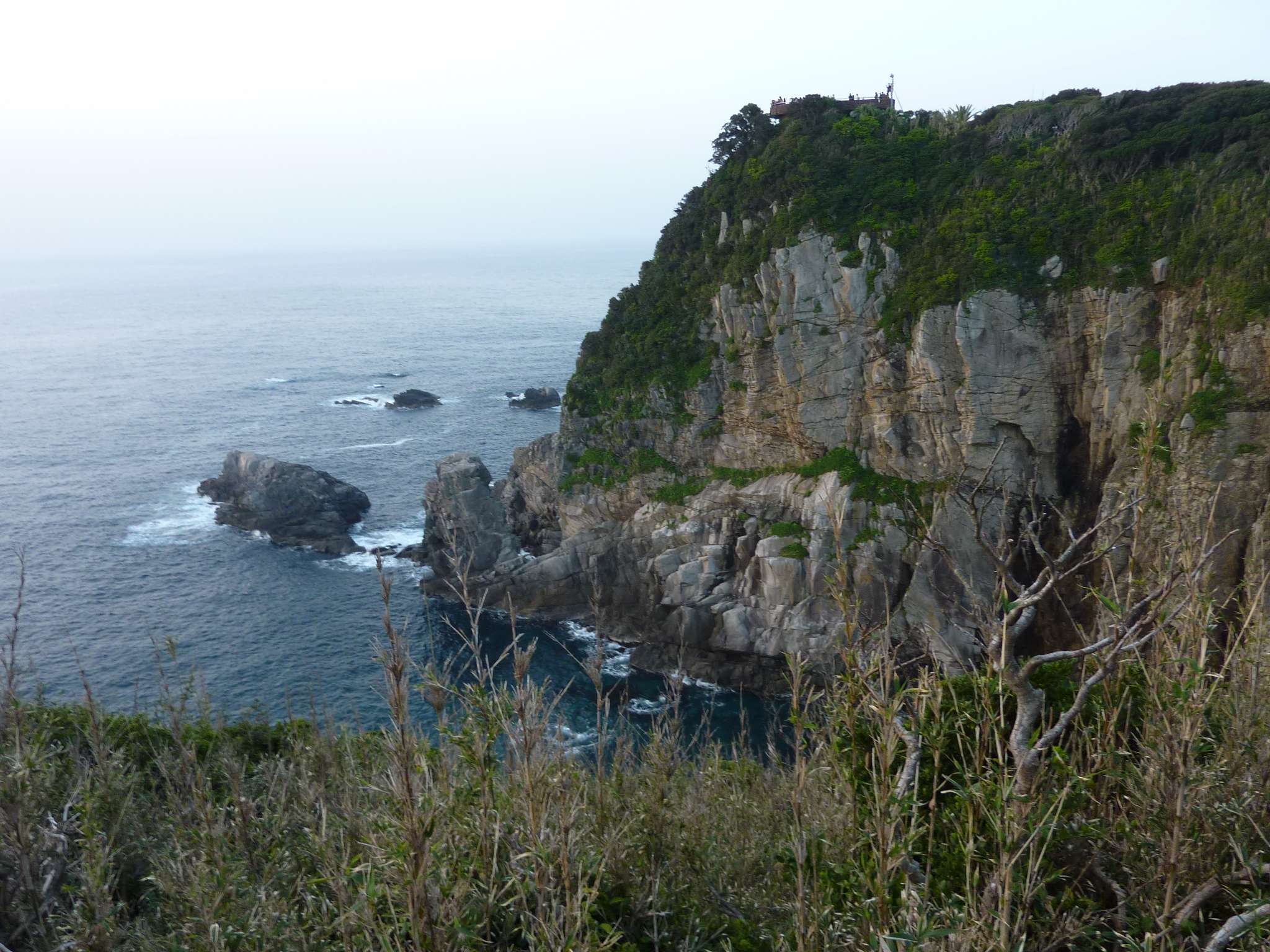 P1020210.JPG