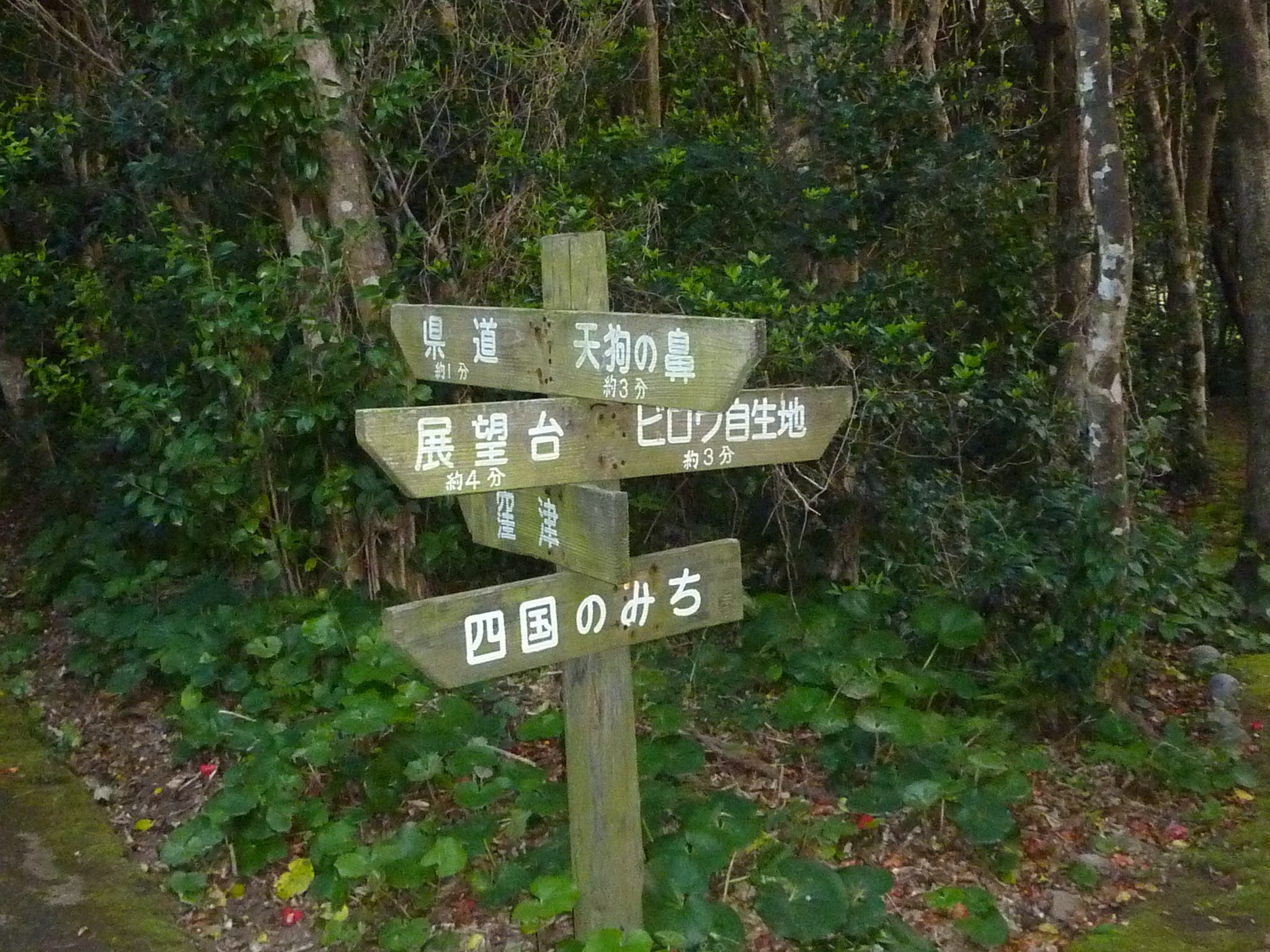 P1020226.JPG