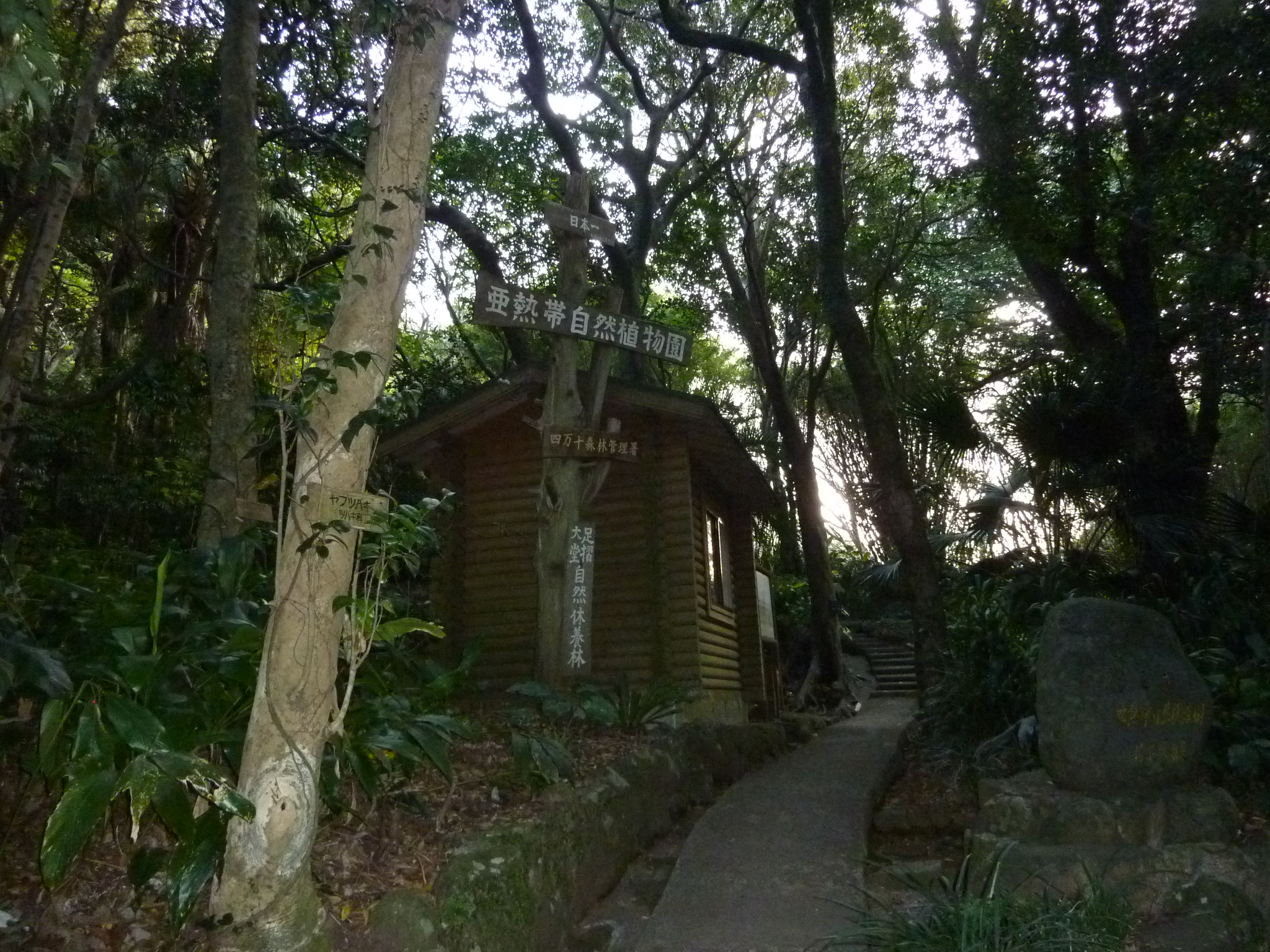 P1020232.JPG