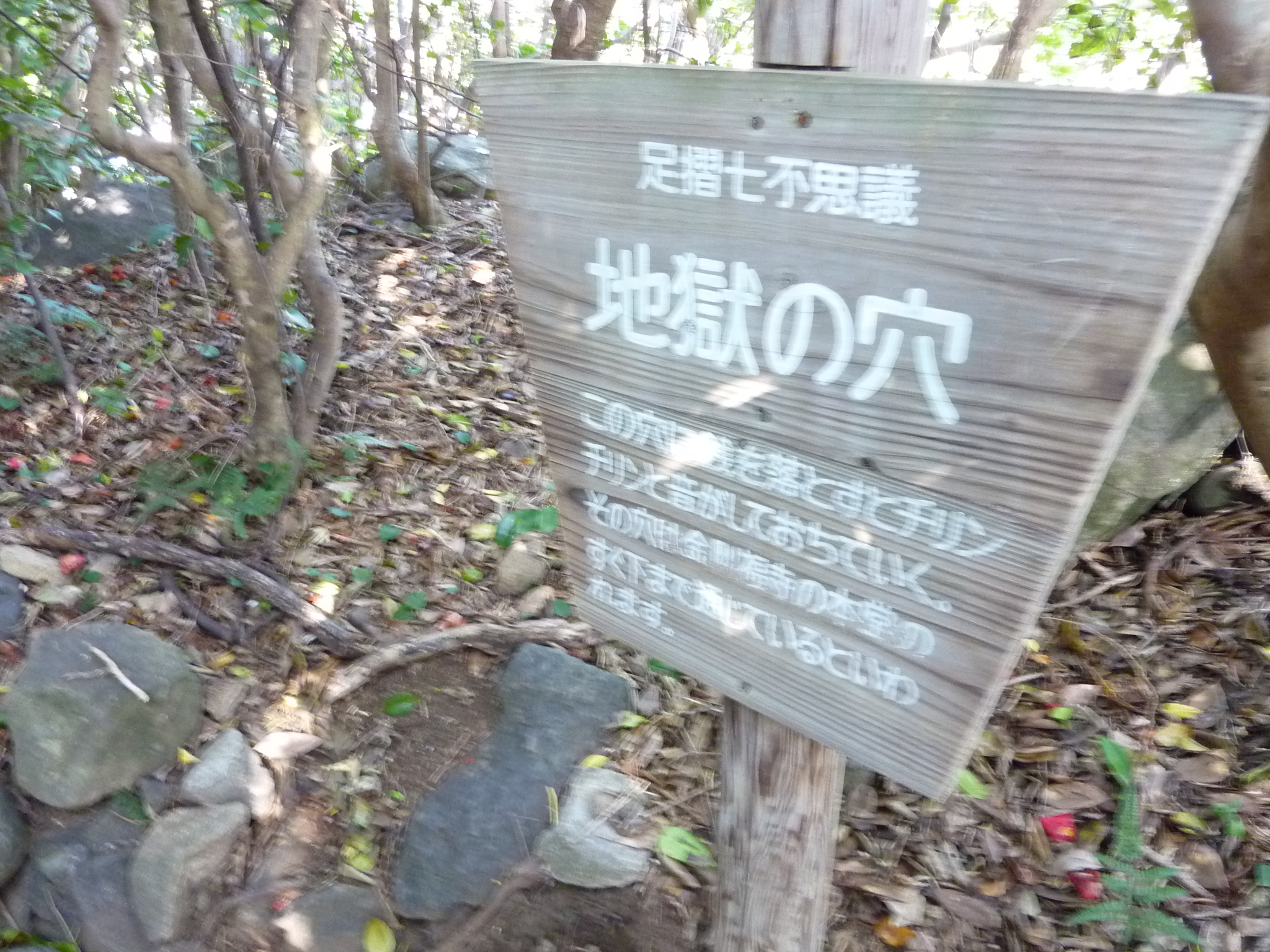 P1020244.JPG