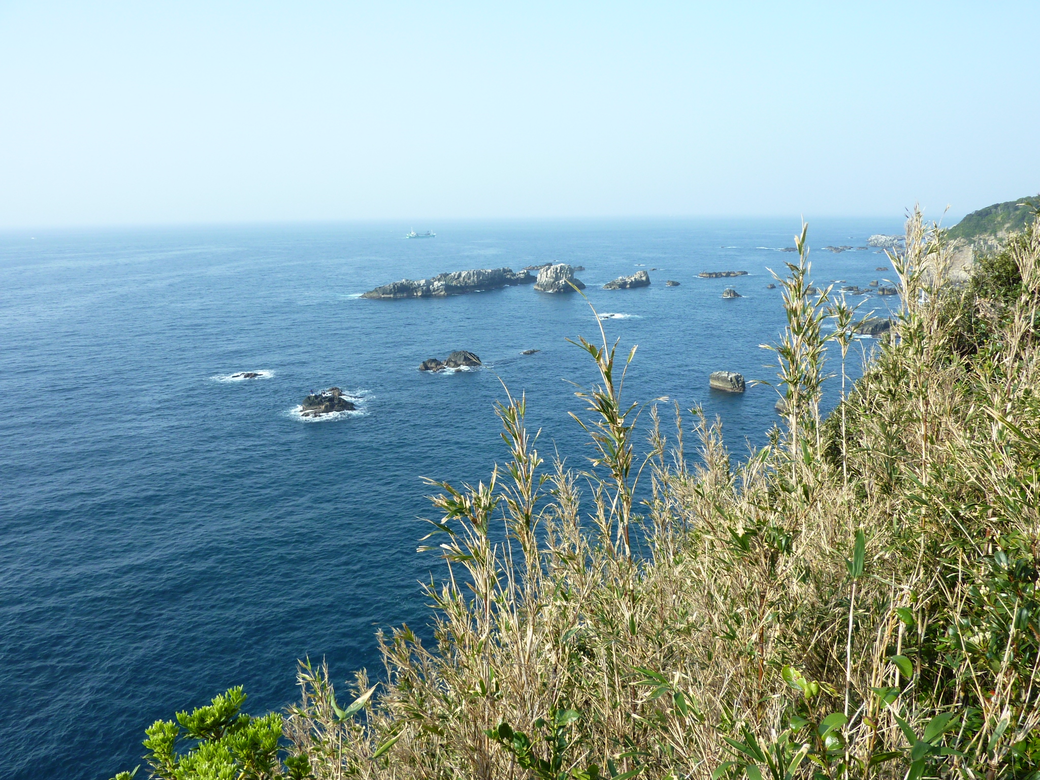 P1020253.JPG