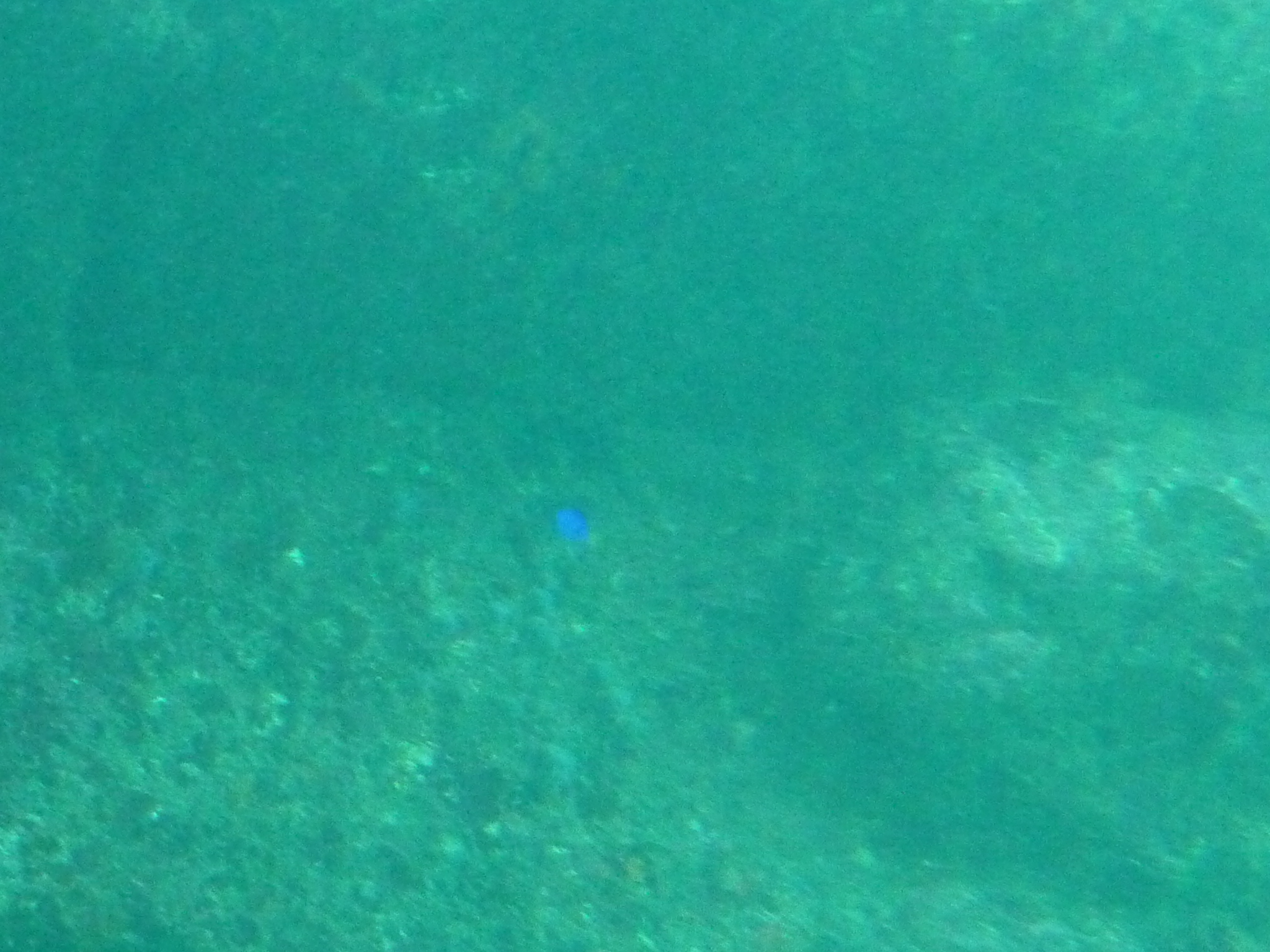 P1020288.JPG