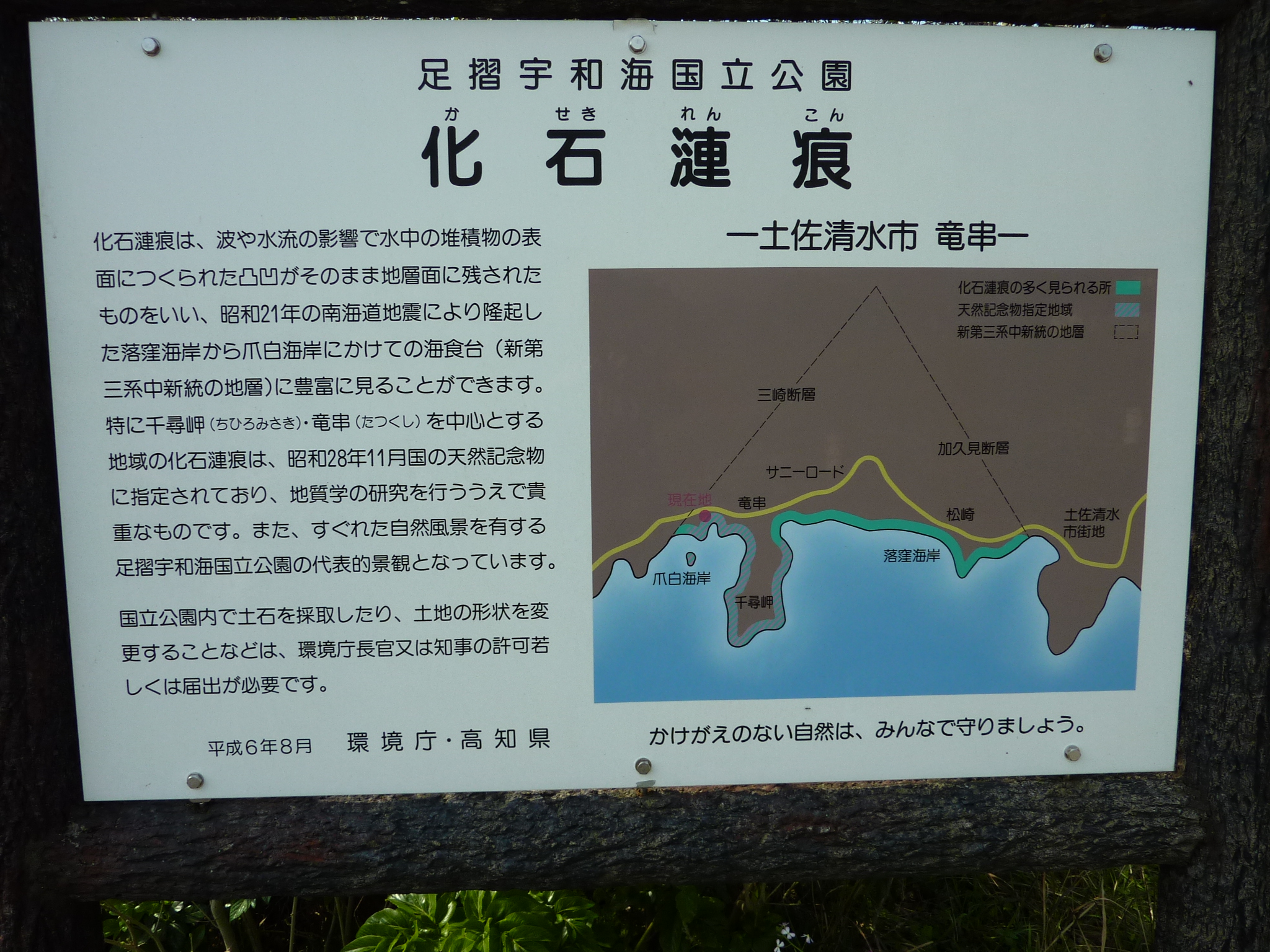 P1020326.JPG