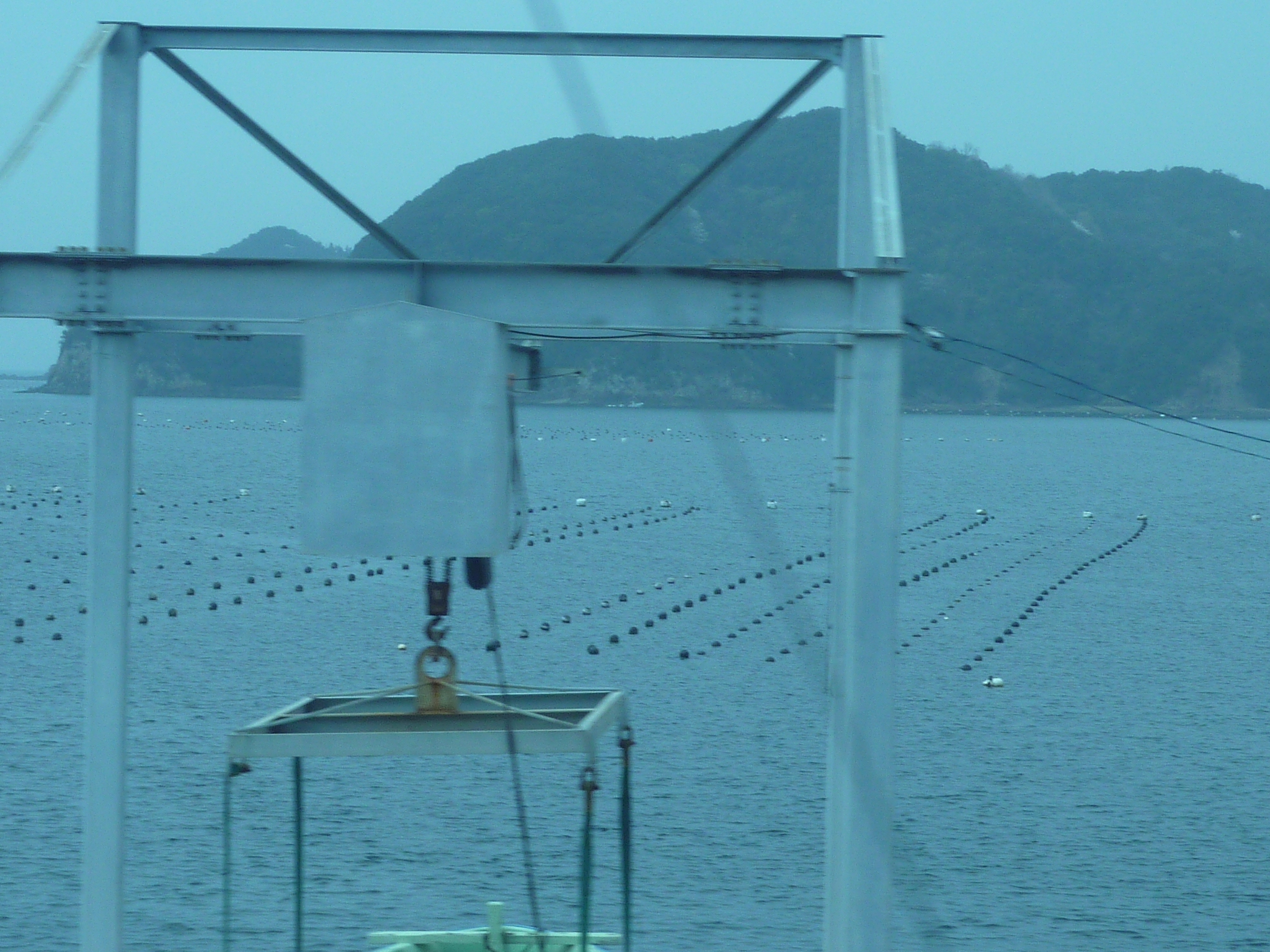 P1020335.JPG