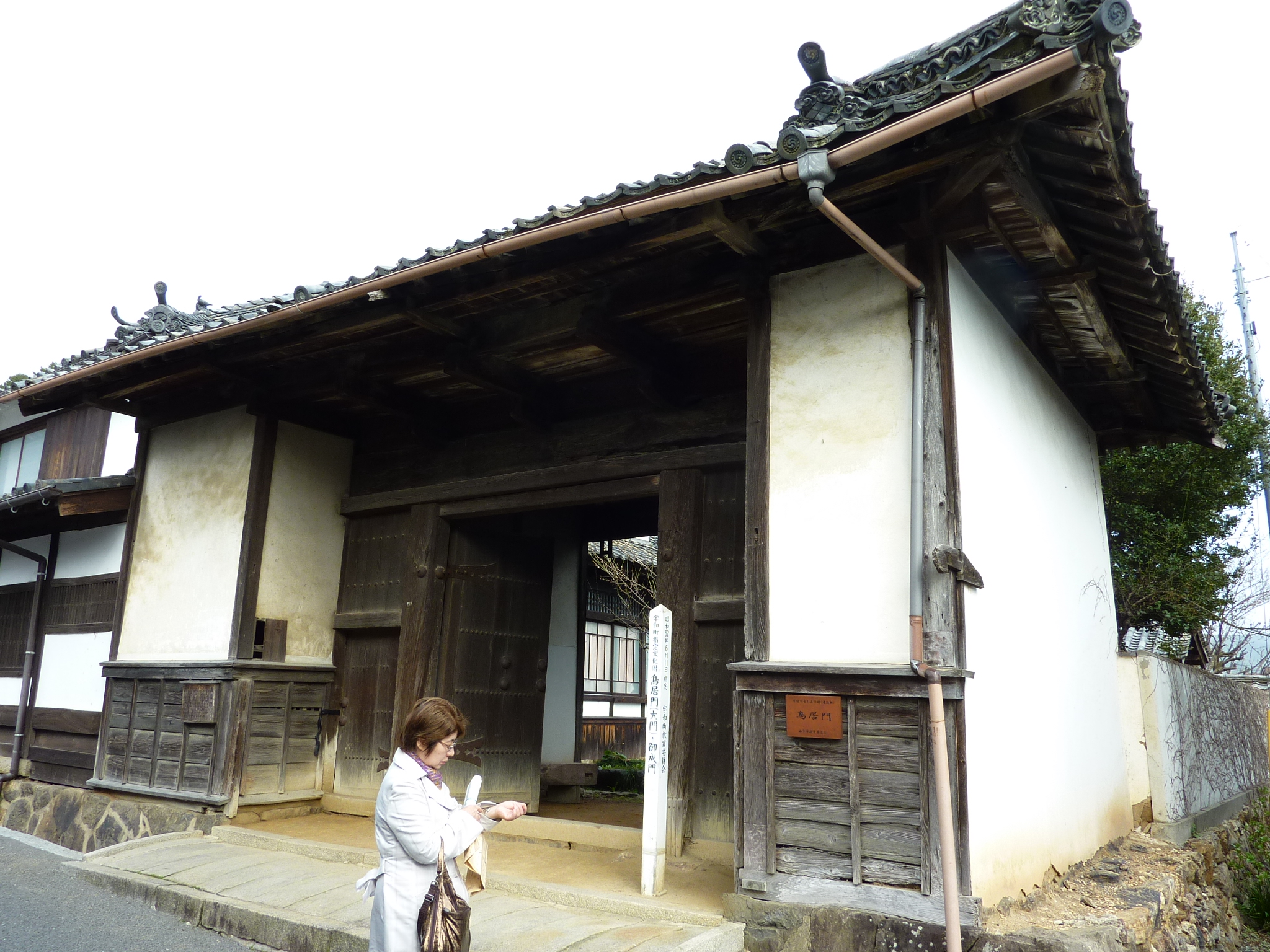 P1020416.JPG