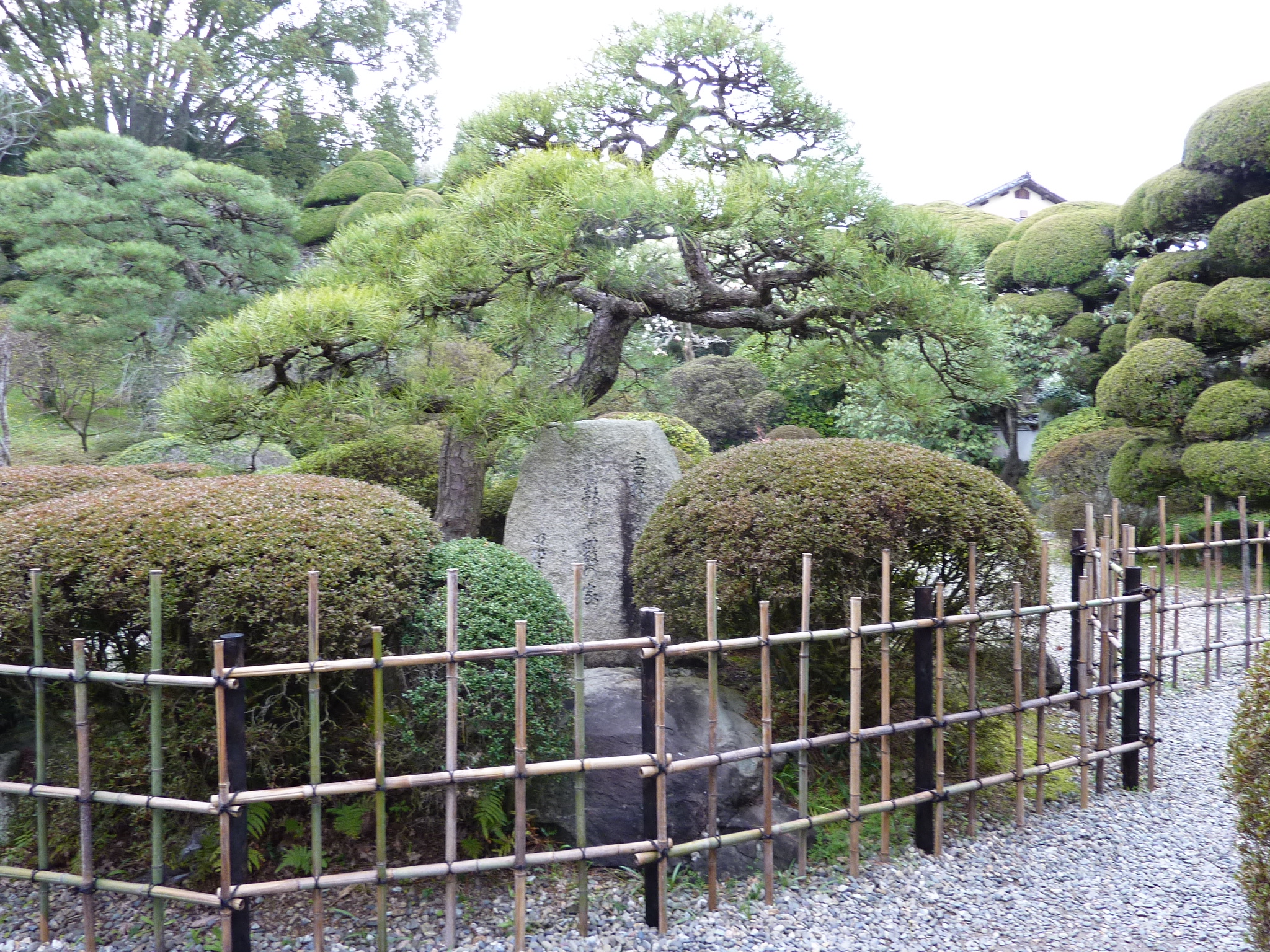 P1020468.JPG