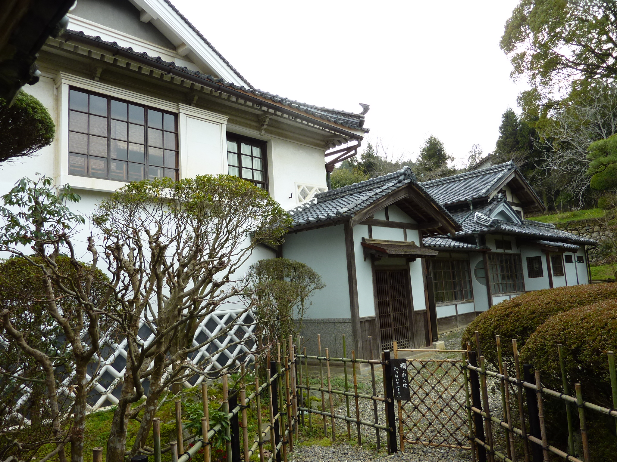 P1020470.JPG