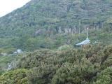 img0009.jpg
