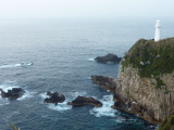 img0011.jpg