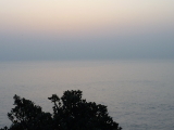 img0012.jpg